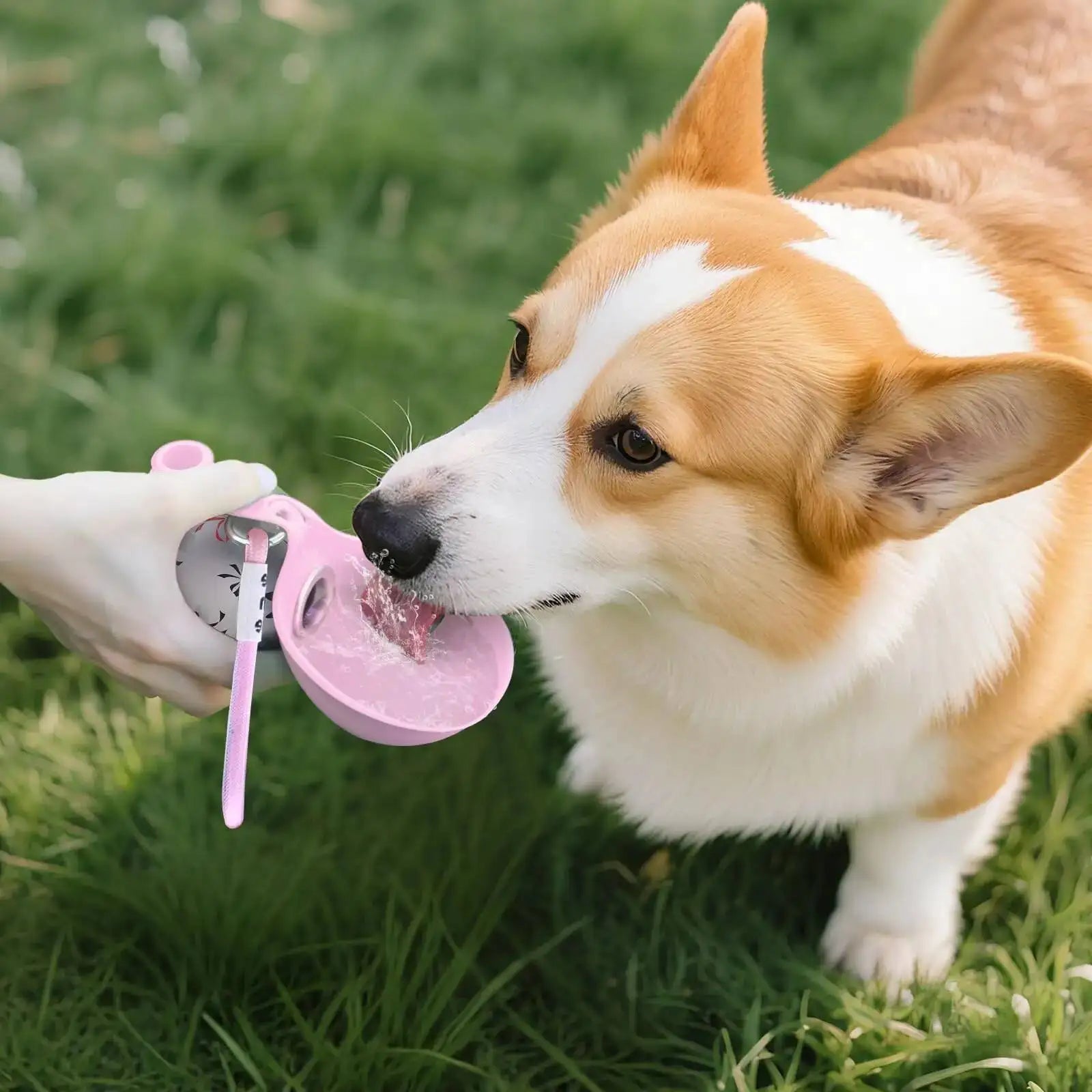 Stay Hydrated on the Go: 2-In-1 Portable Dog Water Bottle - 285ML Stainless Steel & Silicone, Leak-Proof Design for Small Dogs