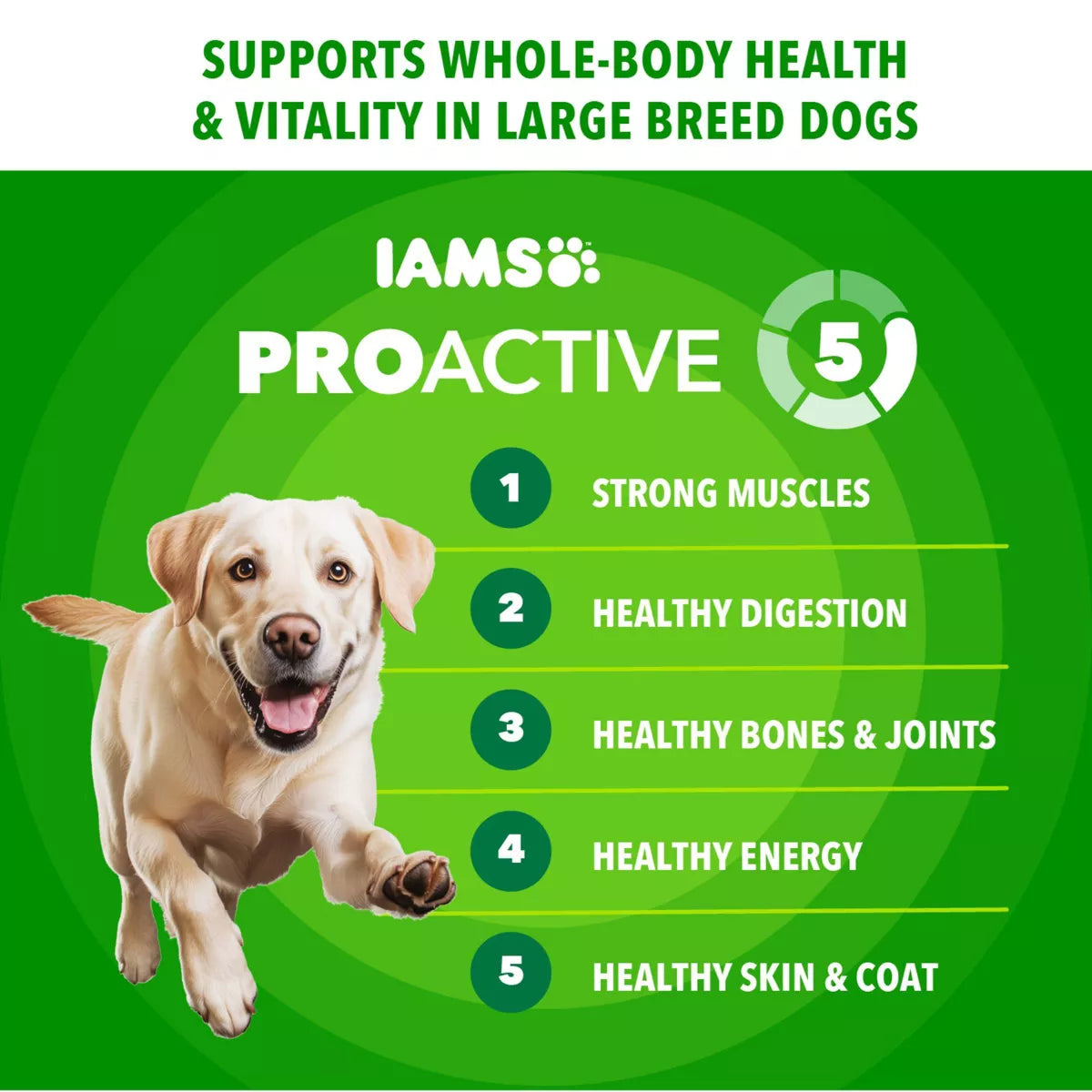 IAMS Proactive Health Chicken Flavor Whole Grain Dry Dog Food