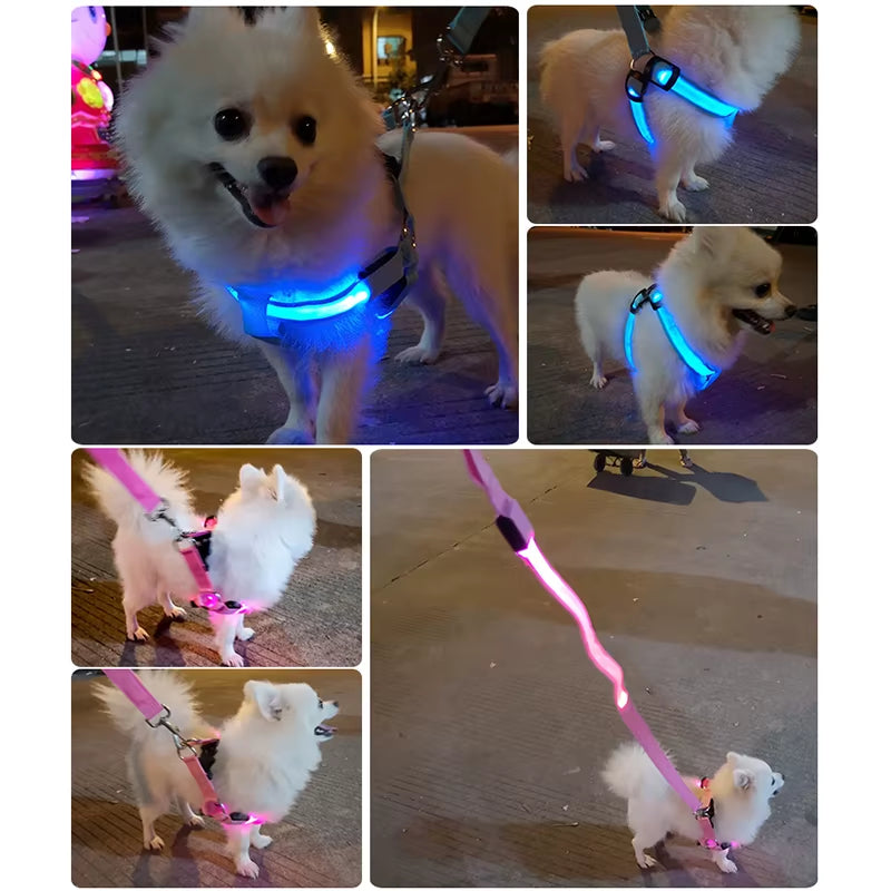Nylon Pet Safety Harness Dog Accessories Flashing Light Harness LED Dog Harness Leash Rope Belt LED Dog Collar Vest Pet Supplies