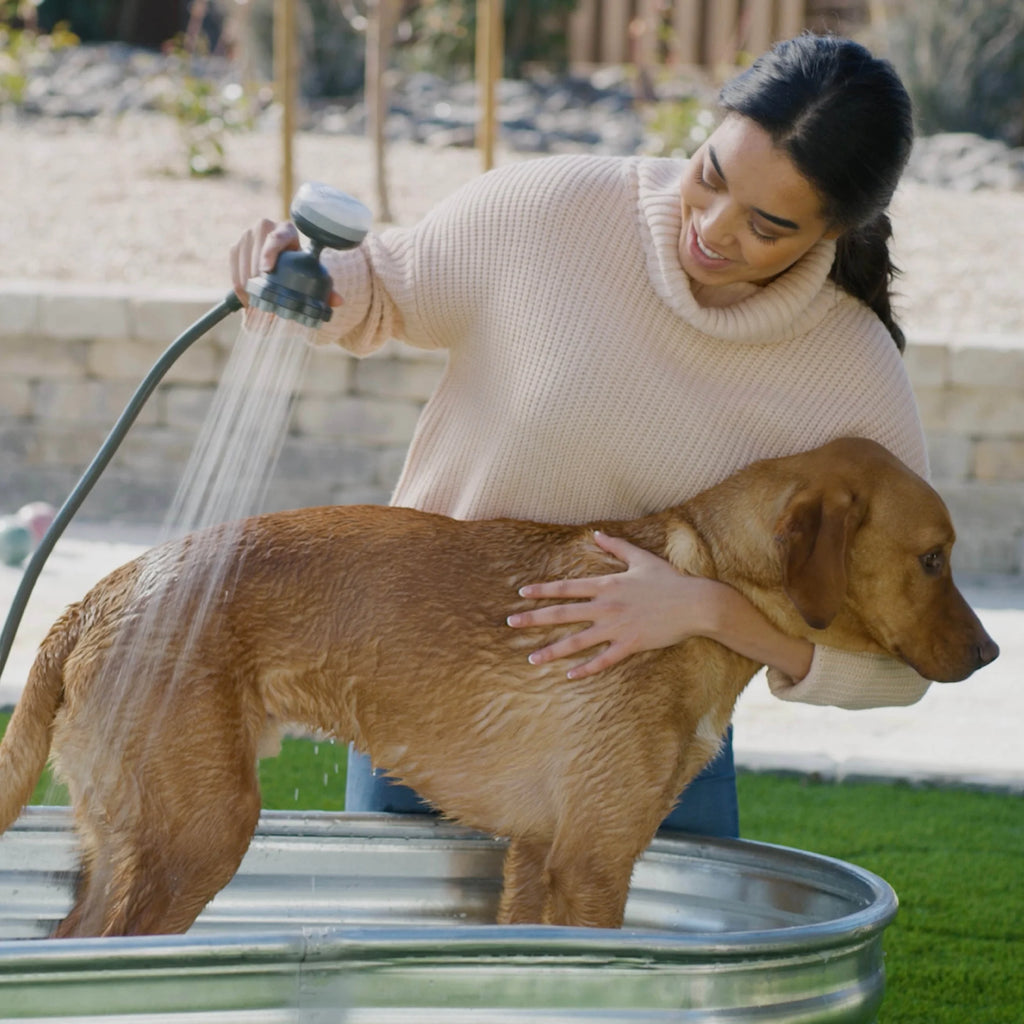 Pawspa Shampooch Dog Bathing Kit, Pet Shower Sprayer & Grooming Hose for Indoor/Outdoor Use