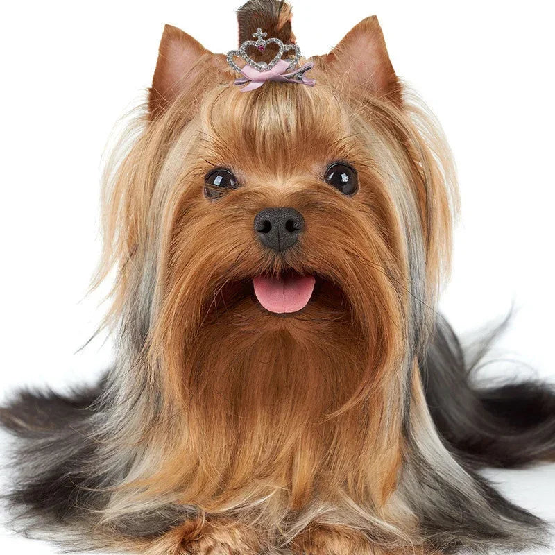 Dog Accessories Pet Grooming for Puppy Cat Dog Hair Clip Crown Bow Pet Hairpins Dog Multicolor Cat Headwear Pet Accessories