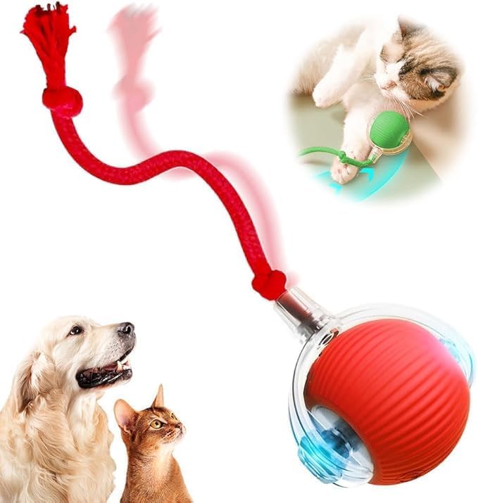 Automatic Rolling Dog Ball Rechargeable