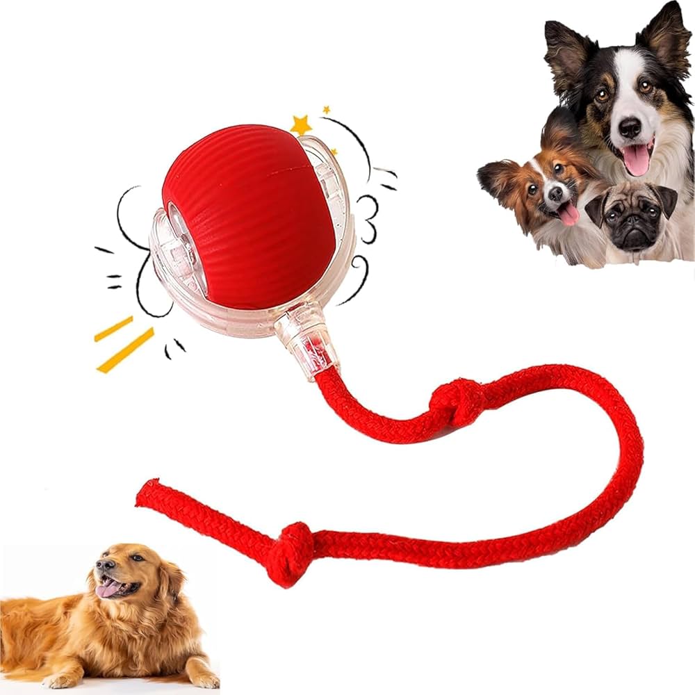 Automatic Rolling Dog Ball Rechargeable