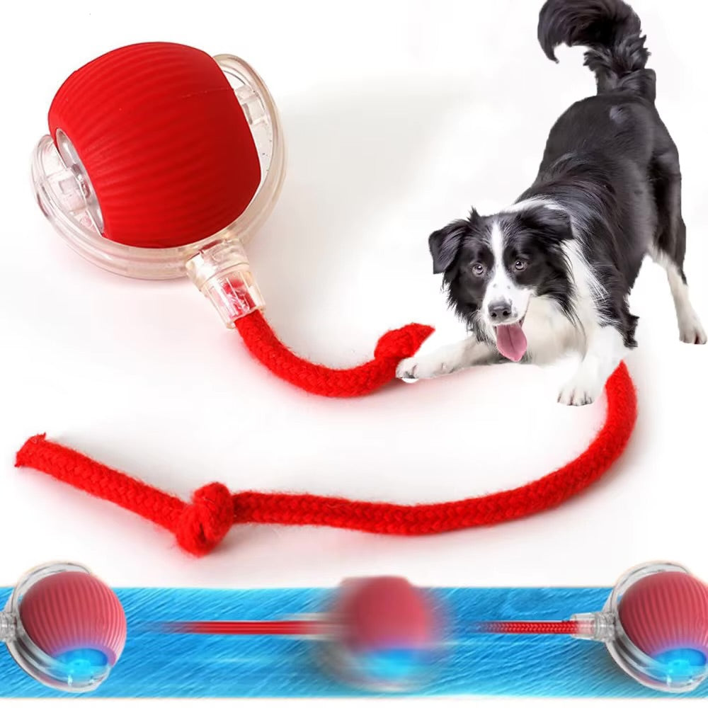 Automatic Rolling Dog Ball Rechargeable